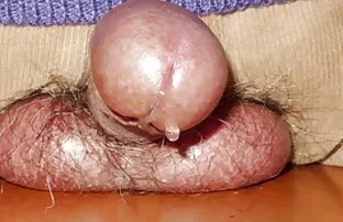 XXX دو مرغ جنسی شهوانی سکس جدید